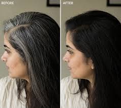 Ayurvedic Hair Dye